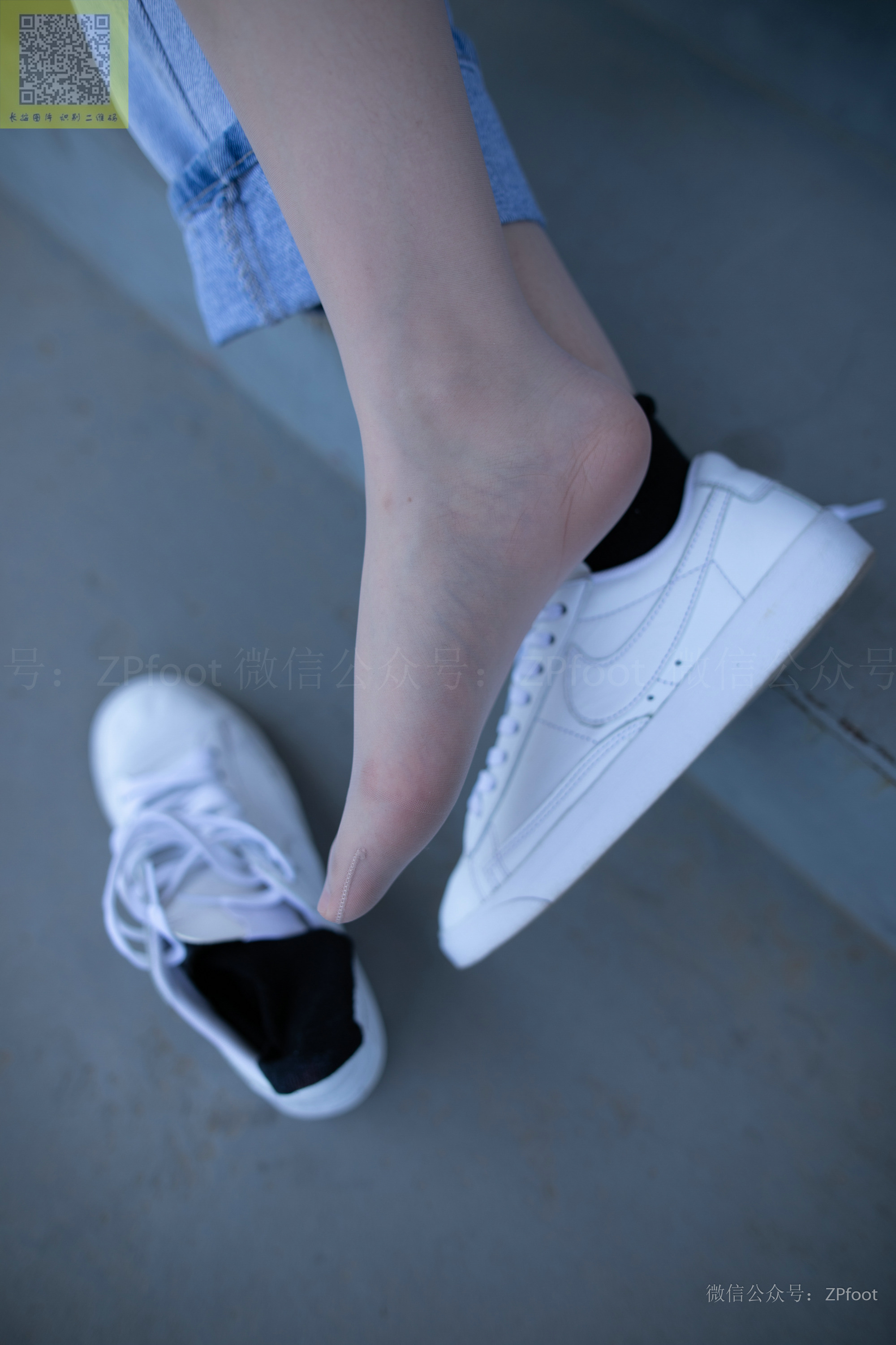 ISS山茶摄影 024 鑫鑫库里丝